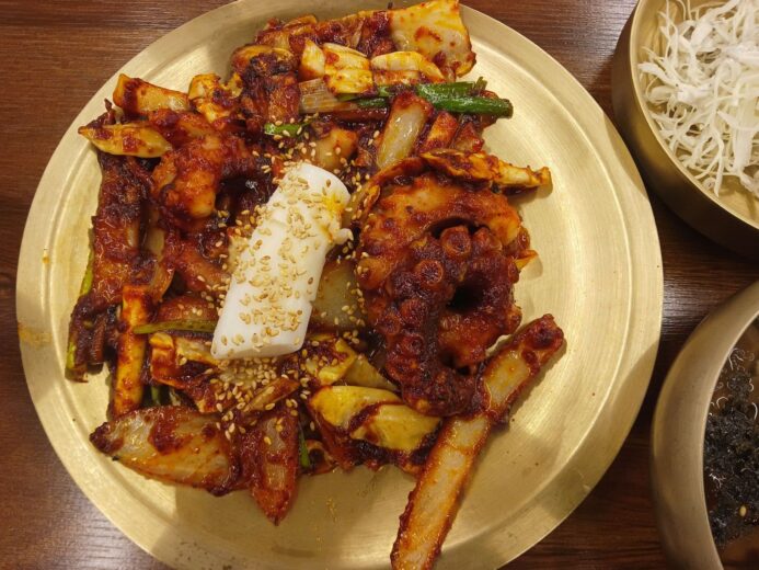 Bulkkeun Octopus