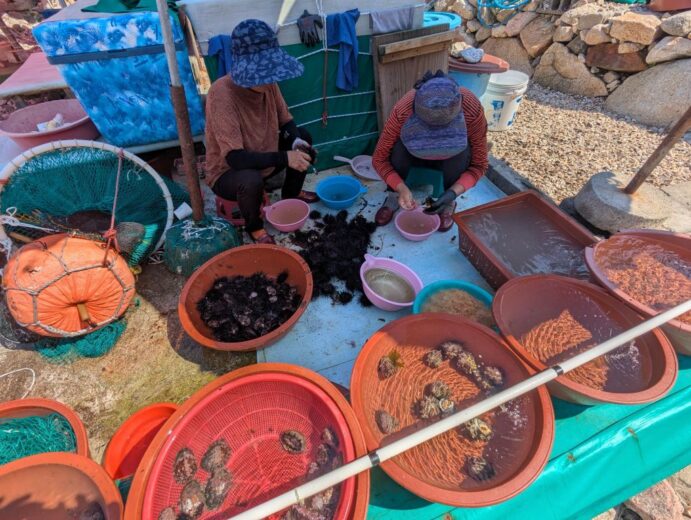 Haenyeo @ Daewangan Park Ulsan